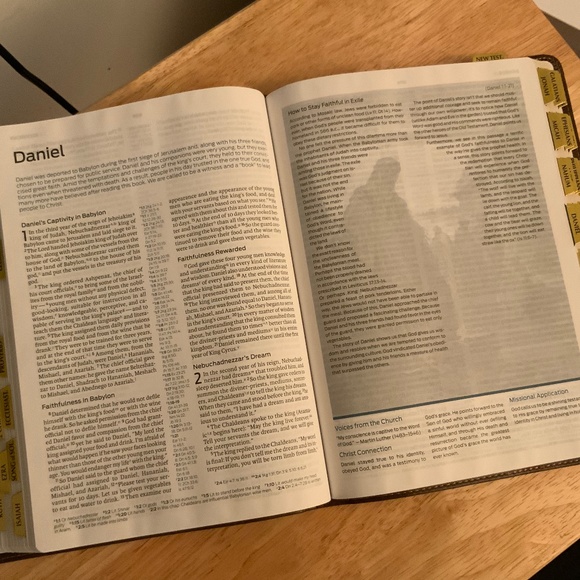 HCSB The Gospel Project Bible, Brown Leathertouch, Index Tabs (New in box) - Picture 6 of 16